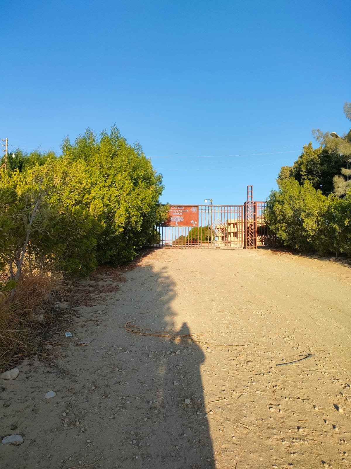 الشركة العالمية للاستثمار والتوكيلات التجارية (أكيكا)